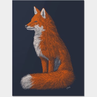 Red Fox Posters and Art